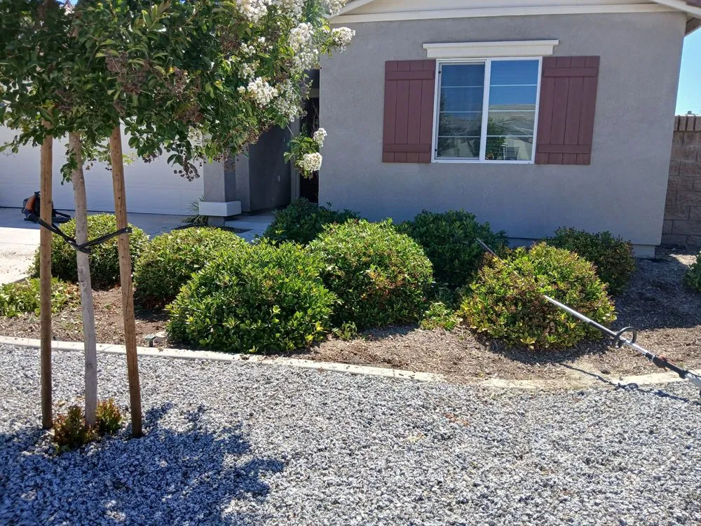 Expert landscaping services for beautiful yards across Riverside, CA - Esteban Tree Service and Landscaping