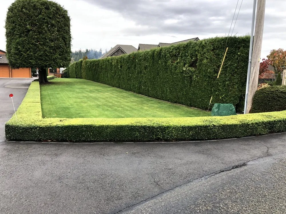 Affordable lawn mowing service for beautiful yards across Belfair, WA - Estebans Landscaping & Construction