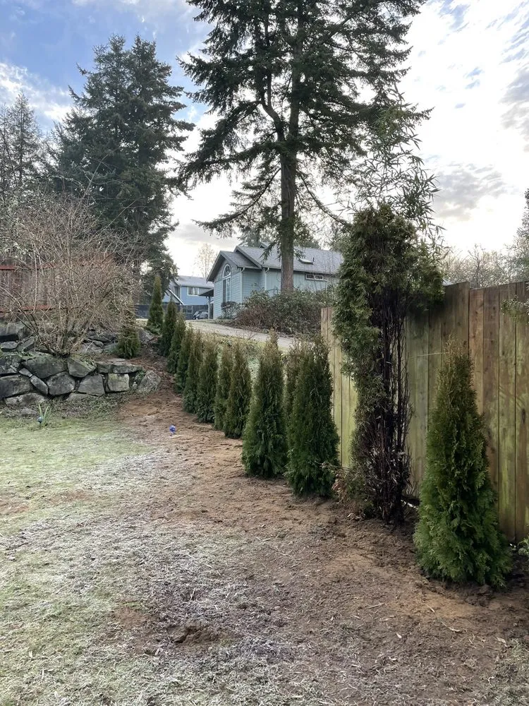 Trusted landscaping services experts serving Belfair, WA - Estebans Landscaping & Construction