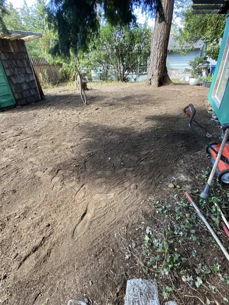 Professional yard maintenance for residential properties across Federal way, WA - Esteban’s Landscaping & Construction