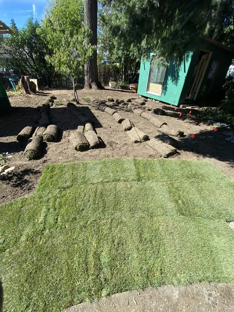 Top-rated lawn care service in Federal way, WA by Esteban’s Landscaping & Construction