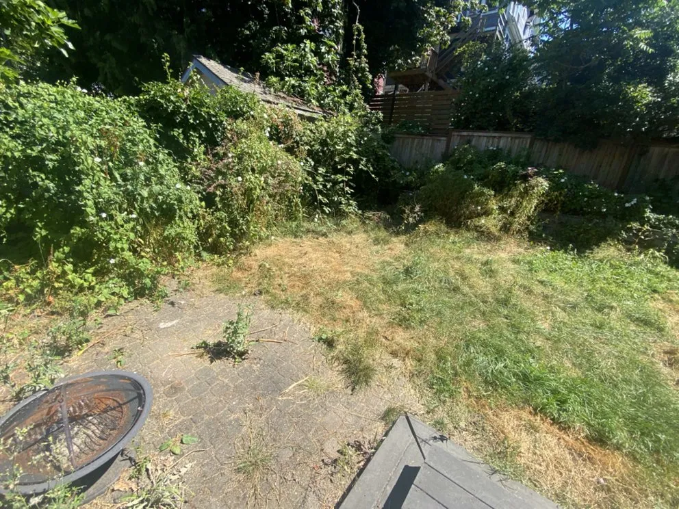 Expert lawn mowing service in Federal way, WA by Esteban’s Landscaping & Construction