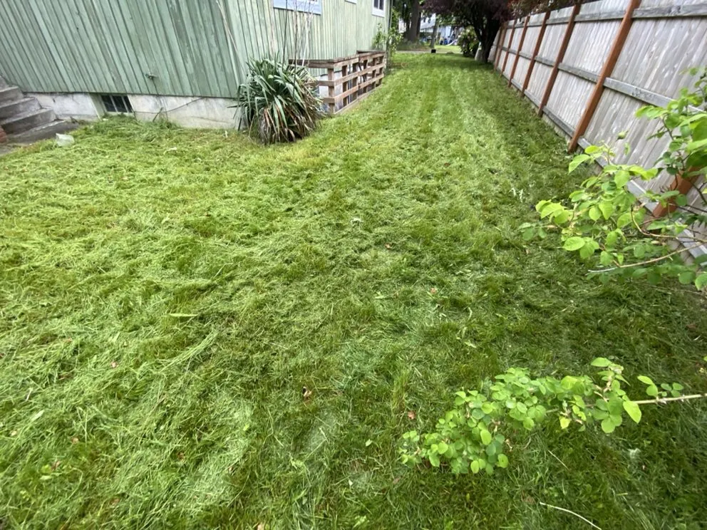 Reliable landscape design for outdoor upgrades across Federal way, WA - Esteban’s Landscaping & Construction