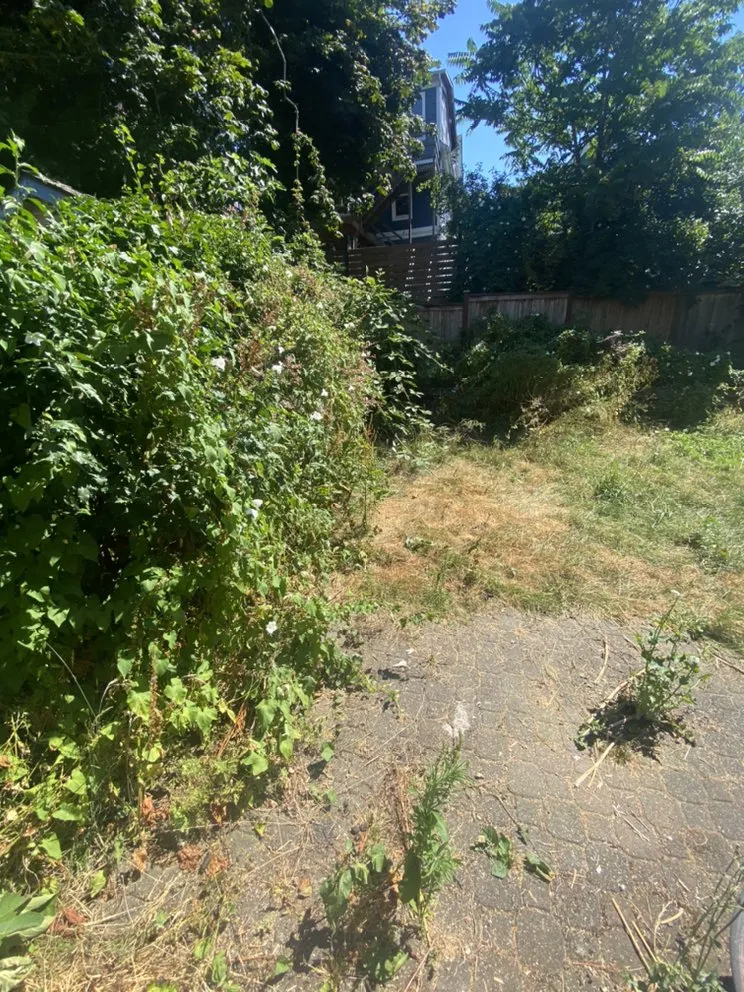 Top-rated garden landscaping in Federal way, WA by Esteban’s Landscaping & Construction