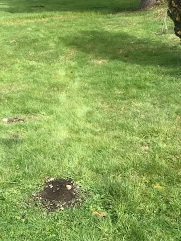 Professional outdoor landscaping in Federal way, WA - Esteban’s Landscaping & Construction