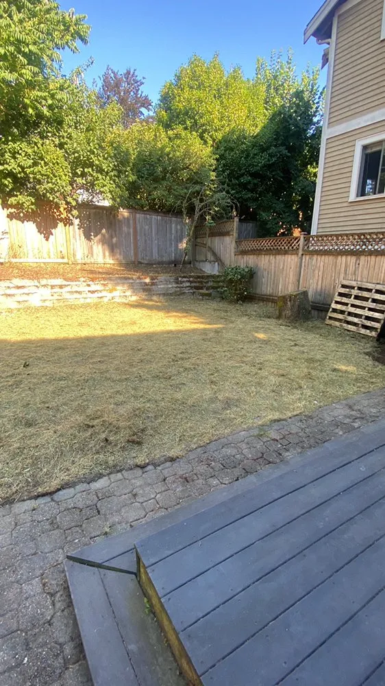 Top-rated landscape installation in Federal way, WA by Esteban’s Landscaping & Construction
