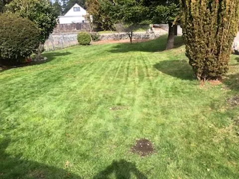 Custom outdoor landscaping in Federal way, WA by Esteban’s Landscaping & Construction