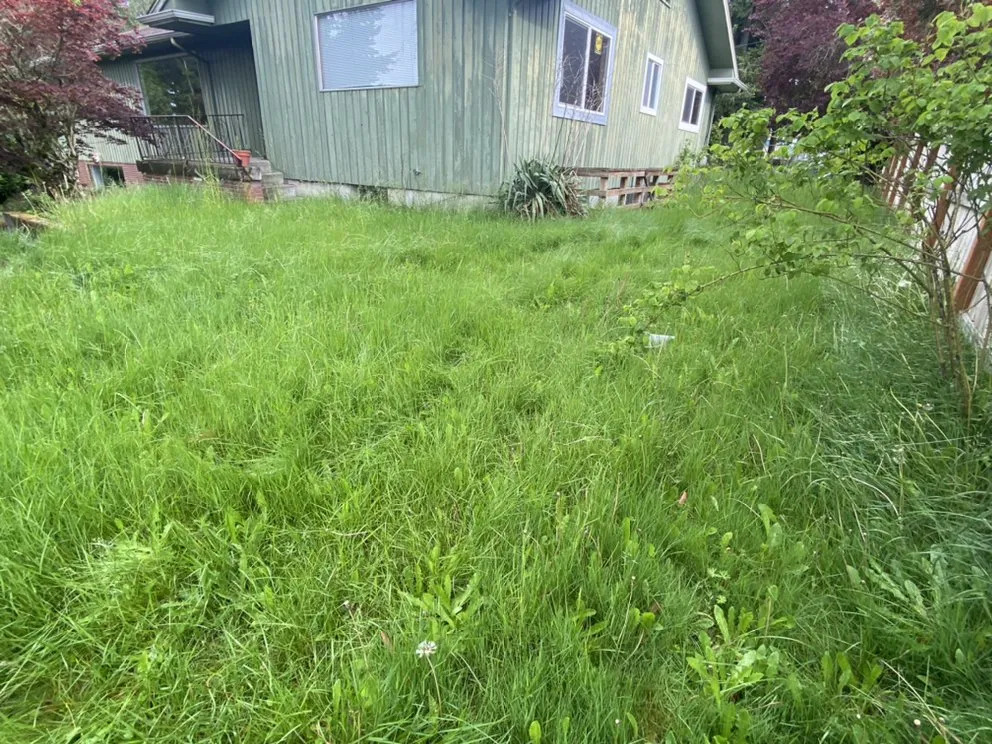 Expert garden landscaping experts serving Federal way, WA - Esteban’s Landscaping & Construction