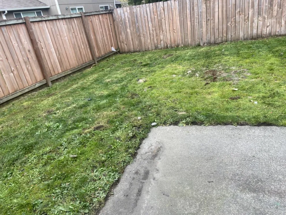 Local landscape design experts serving Federal way, WA - Esteban’s Landscaping & Construction