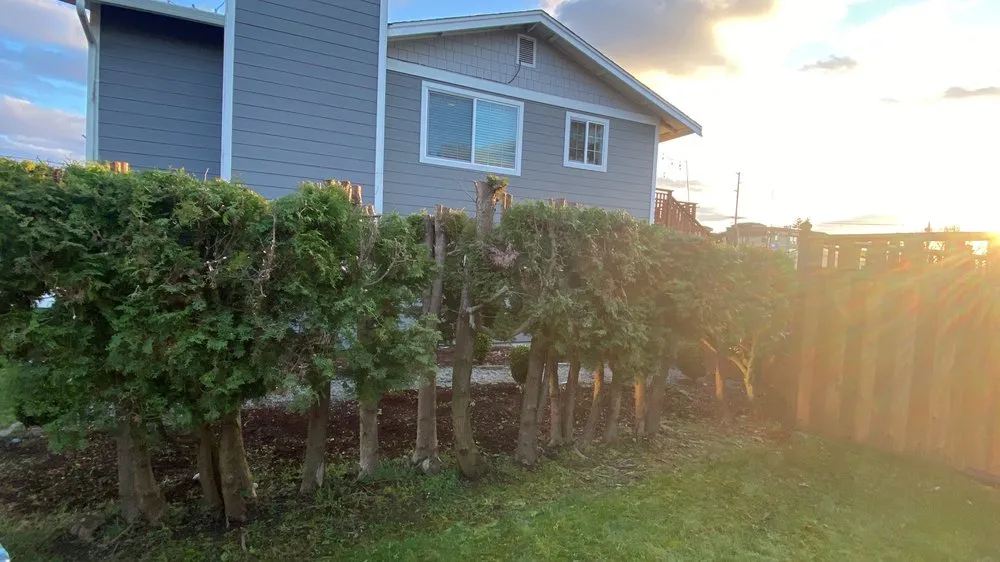 Affordable yard cleanup service experts serving Federal way, WA - Esteban’s Landscaping & Construction