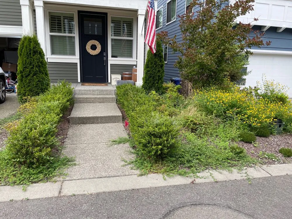 Local landscape installation for year-round maintenance across Federal way, WA - Esteban’s Landscaping & Construction