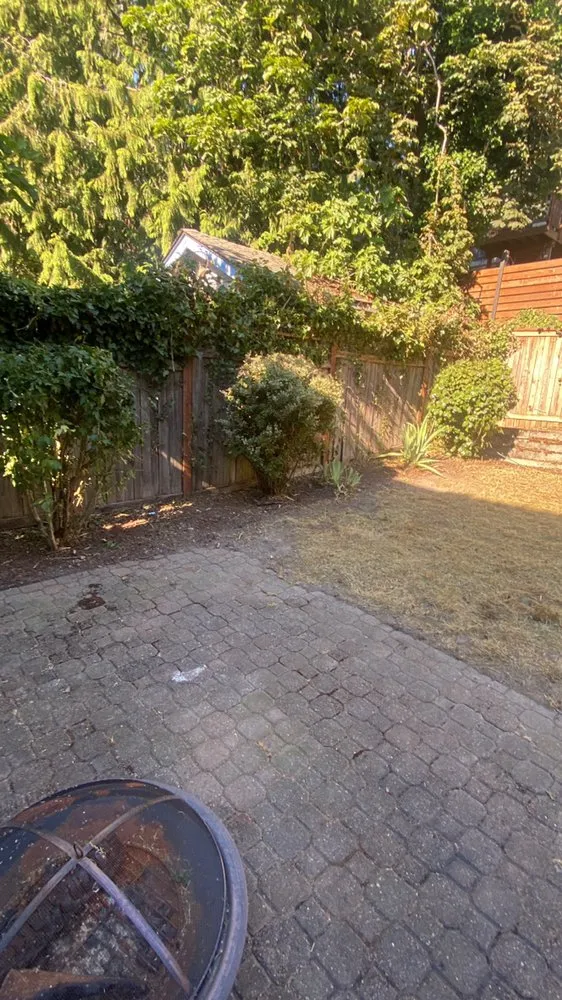 Top-rated landscaping services in Federal way, WA - Esteban’s Landscaping & Construction