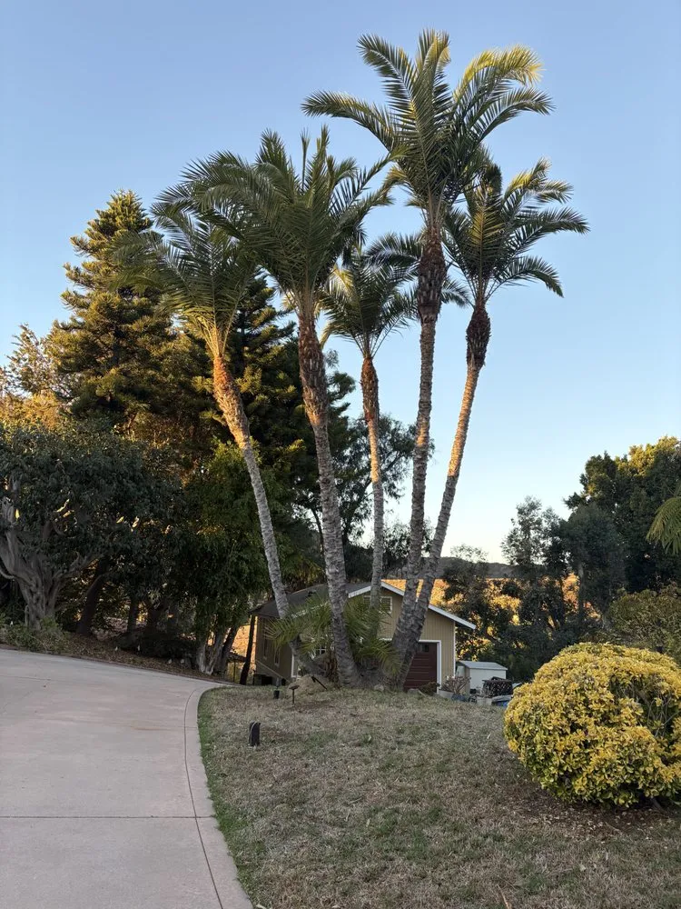 Custom landscaping services experts serving Fallbrook, CA - Esteban’s Landscaping and Maintenance