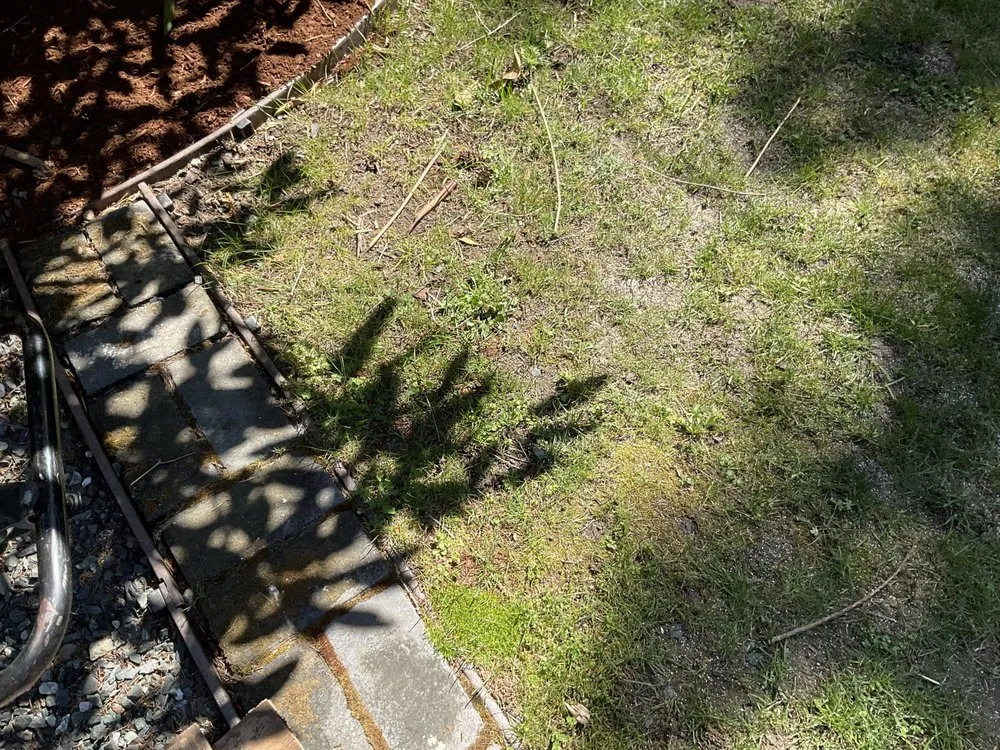 Local landscape design experts serving Ferndale, WA - Esteban's Landscaping