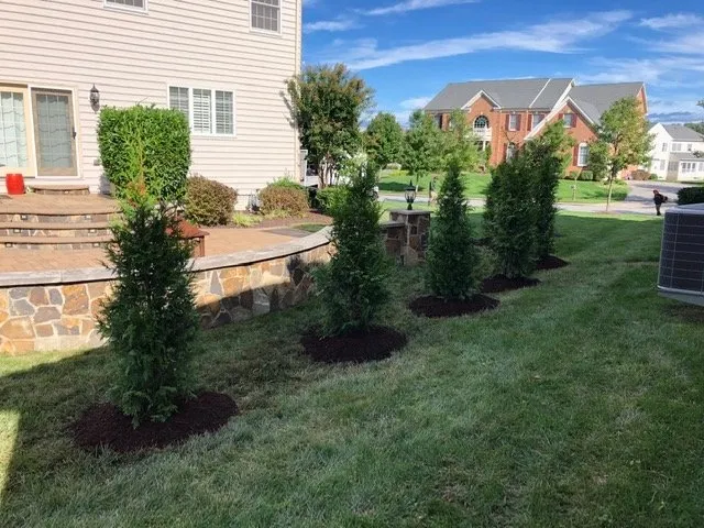 Reliable yard cleanup service in Fort Washington, MD - Esteban's Landscaping