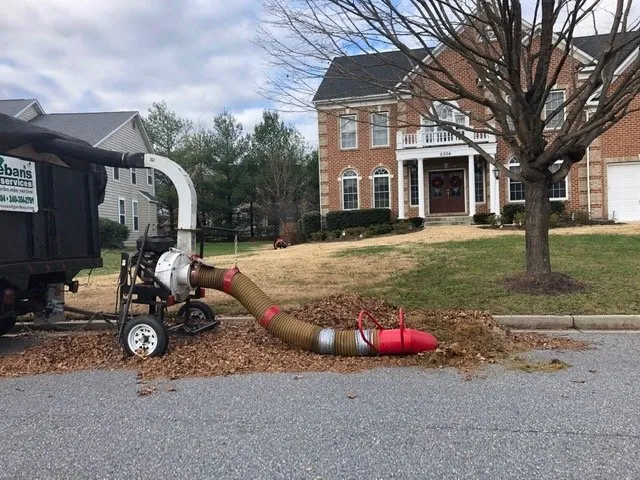 Affordable outdoor landscaping for beautiful yards across Fort Washington, MD - Esteban's Landscaping