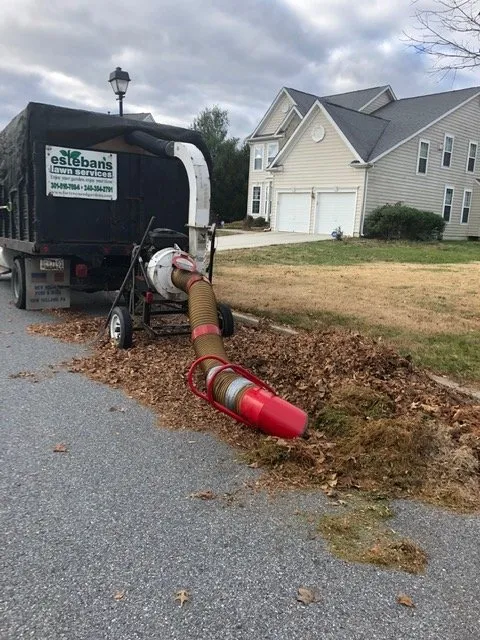 Top-rated garden landscaping for homes across Fort Washington, MD - Esteban's Landscaping