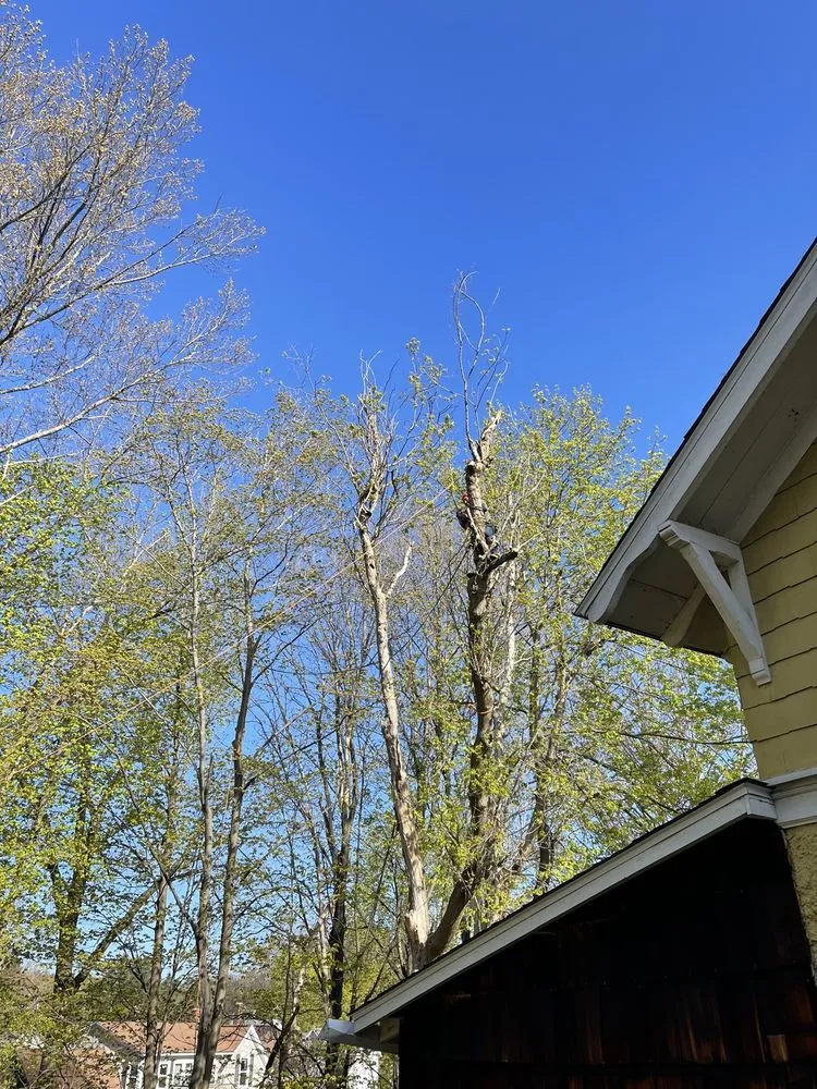 Reliable lawn mowing service for outdoor upgrades across Manchester, NH - Esteban's Landscaping