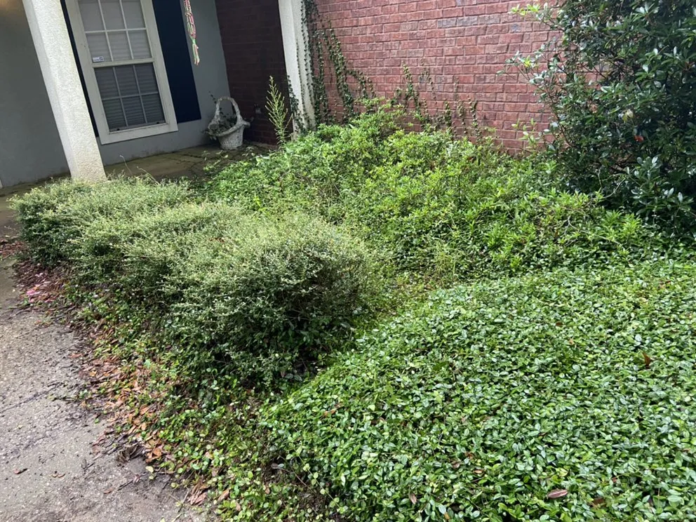 Trusted residential landscaping in Semmes, AL - Esteban’s landscaping