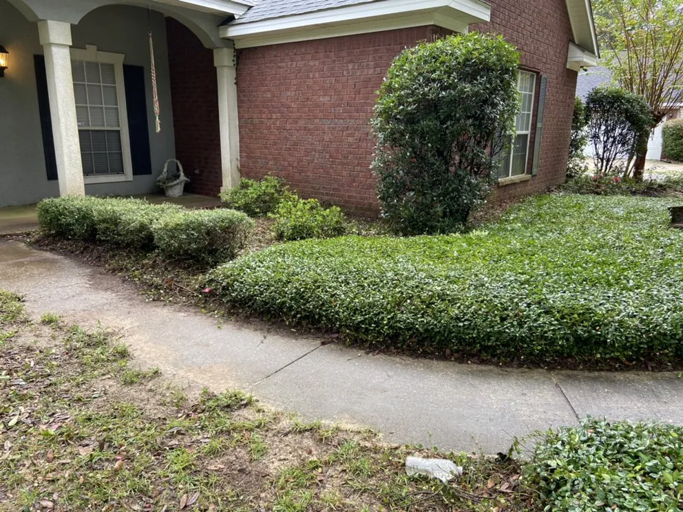 Trusted landscaping services near you in Semmes, AL by Esteban’s landscaping