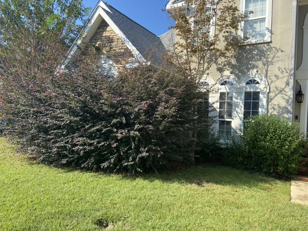 Expert residential landscaping in Semmes, AL - Esteban’s landscaping