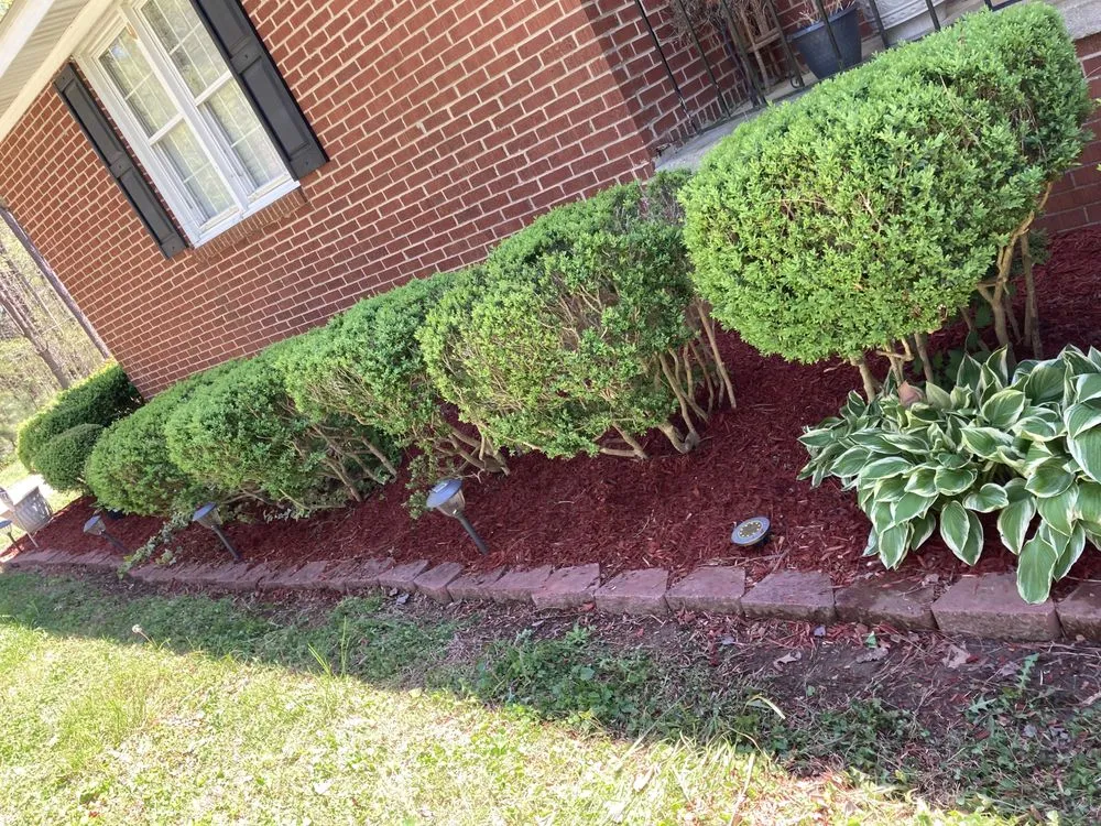 Top-rated outdoor landscaping experts serving Oxford, NC - Estes Landscaping and Hauling