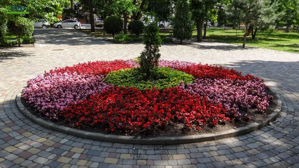 Trusted lawn mowing service in Sykesville, MD - Estes Landscaping