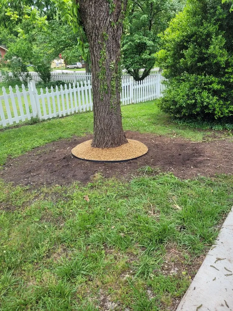 Trusted yard cleanup service experts serving Sutherland, VA - Estes Lawn Care Services and More