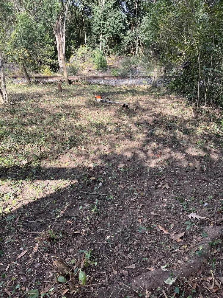 Trusted landscape design experts serving Summerville, SC - Esteven Landscape