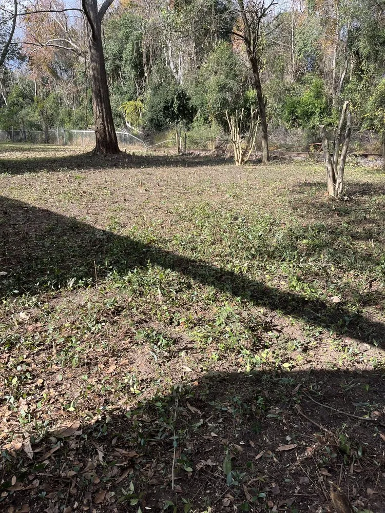 Reliable garden landscaping for outdoor upgrades across Summerville, SC - Esteven Landscape