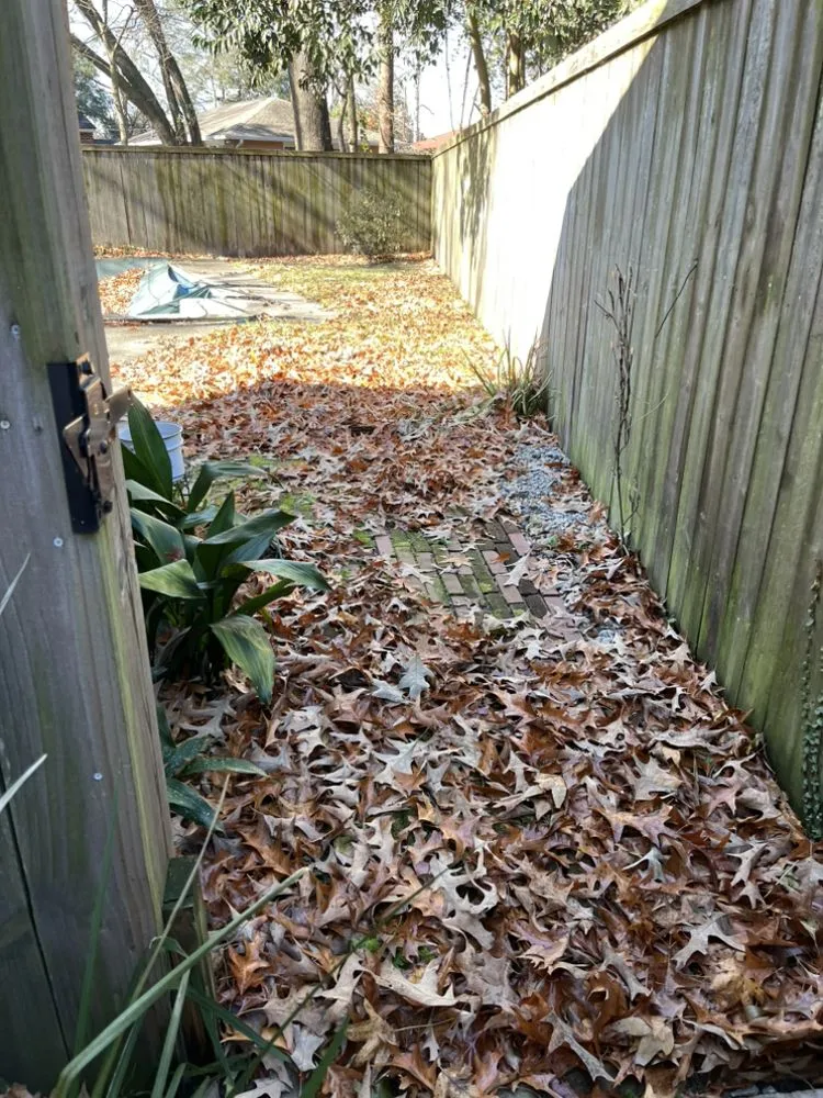 Reliable yard cleanup service in Summerville, SC - Esteven Landscape
