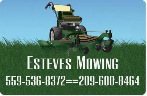 Esteves Mowing