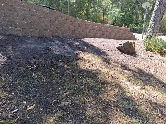 Estevez Landscape Logo