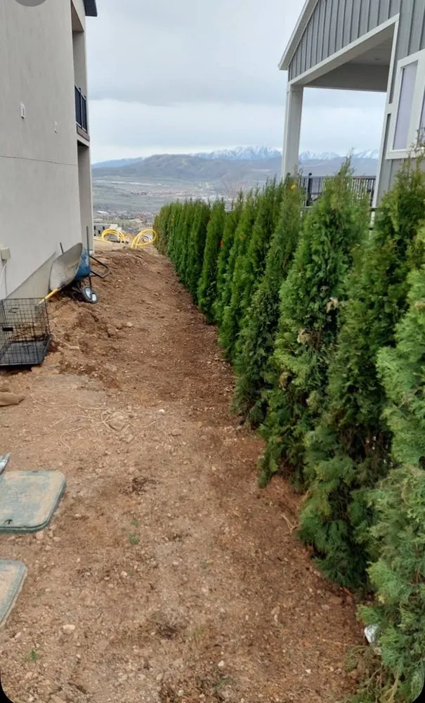 Local lawn care service for year-round maintenance in West Jordan, UT by Estma Landscaping