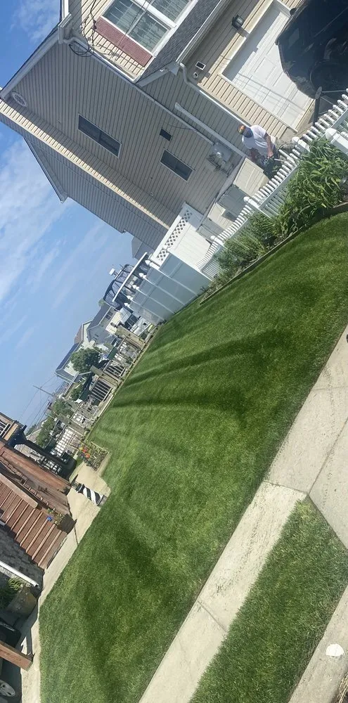 Local yard cleanup service for year-round maintenance across Amityville, NY - Estrada & Sons Landscaping