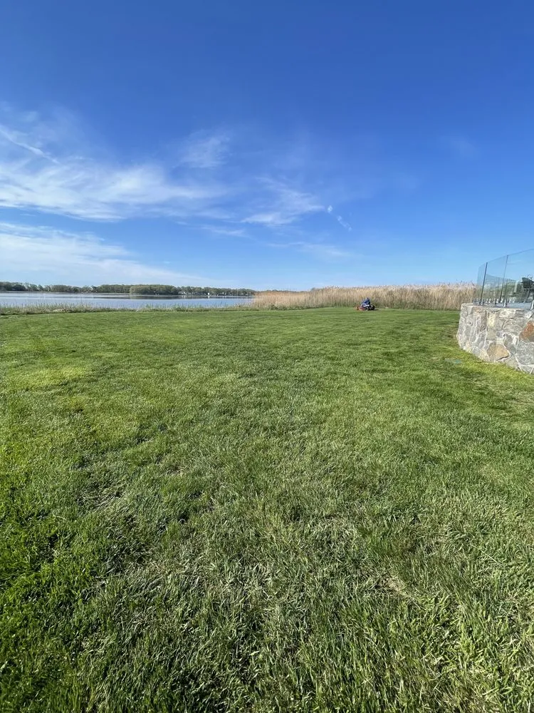 Reliable lawn care service for beautiful yards across Madison, CT - Estrada Handyman