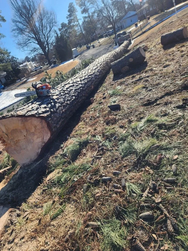 Reliable yard cleanup service in Richmond, VA - Estrada Hardscaping