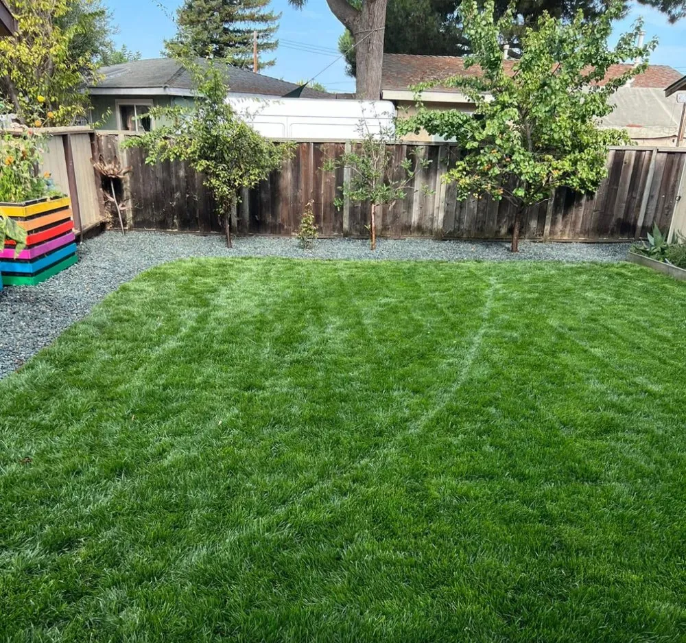 Professional lawn care service experts serving Redwood City, CA - Estrada Landscape