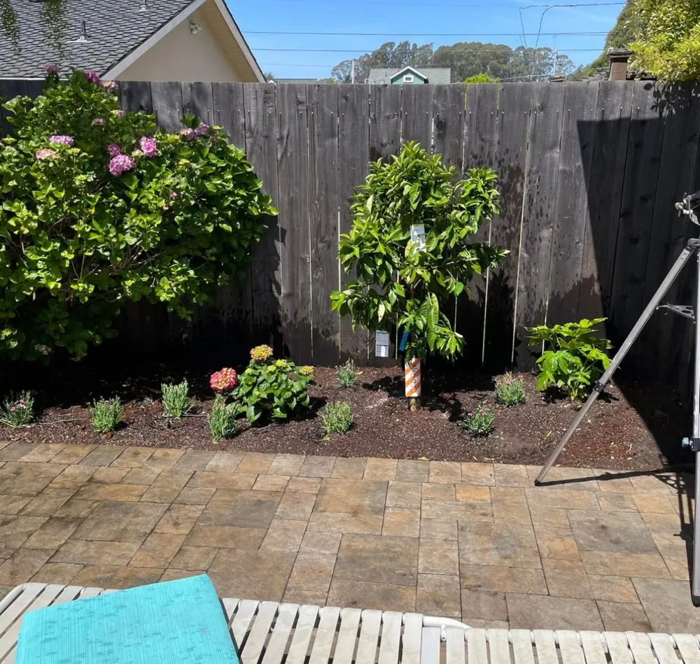 Trusted residential landscaping for beautiful yards across Redwood City, CA - Estrada Landscape