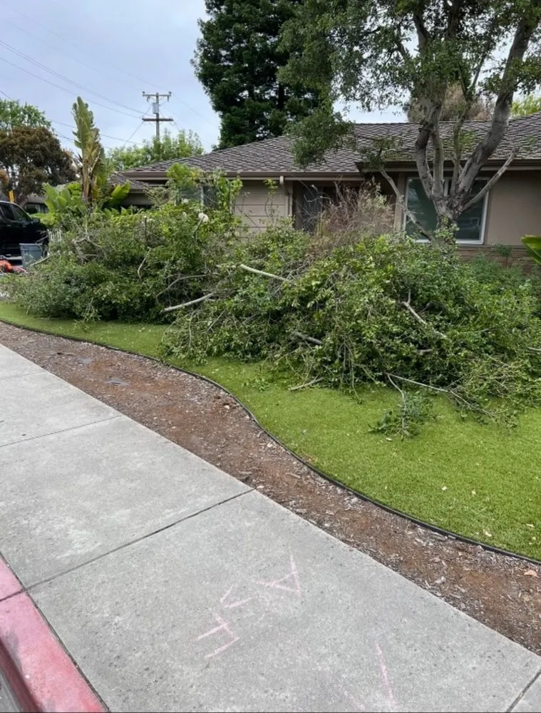 Affordable residential landscaping for year-round maintenance across Redwood City, CA - Estrada Landscape