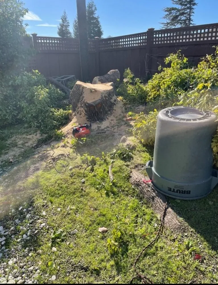 Reliable residential landscaping near you in Redwood City, CA by Estrada Landscape