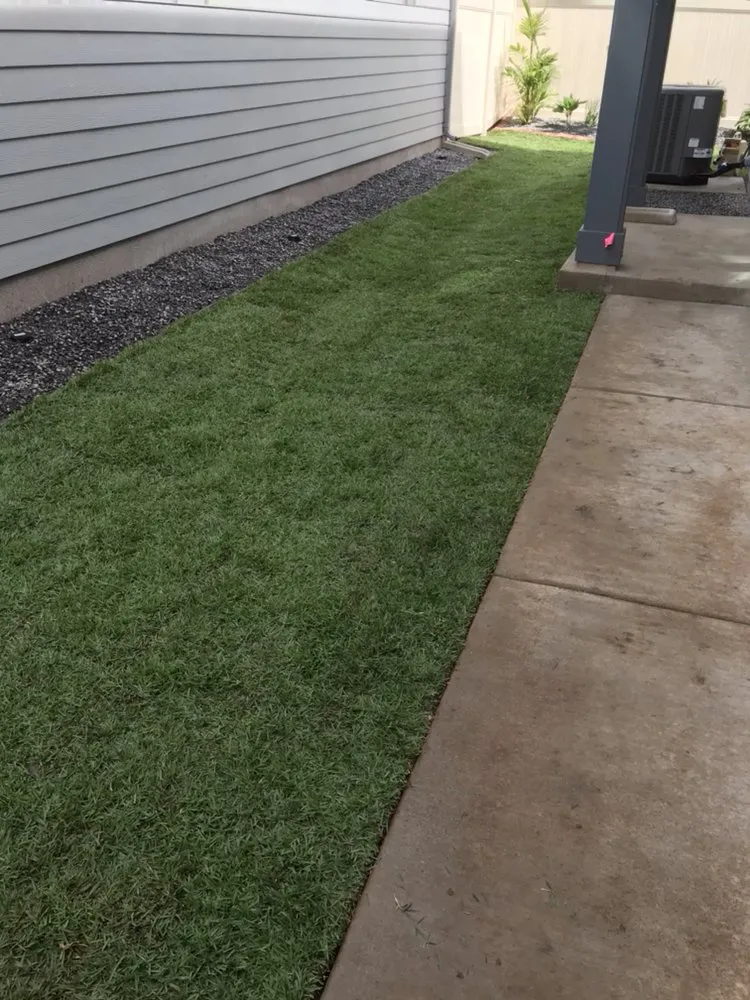 Expert lawn care service for residential properties in Kapolei, HI by Estrada Landscape Services