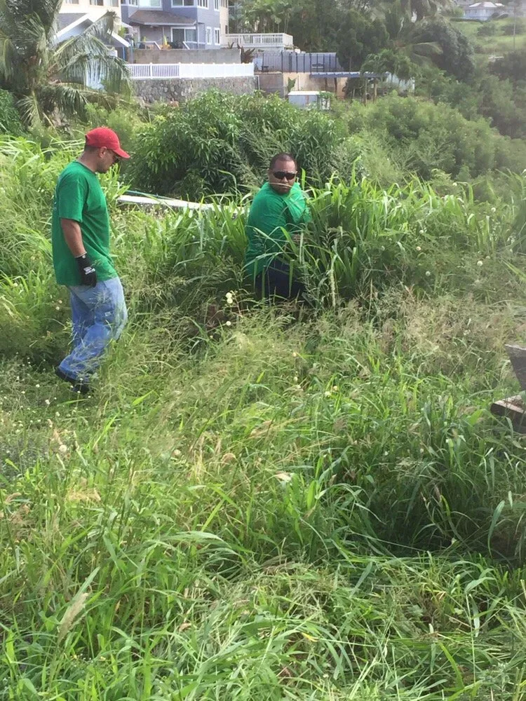 Custom residential landscaping near you in Kapolei, HI by Estrada Landscape Services