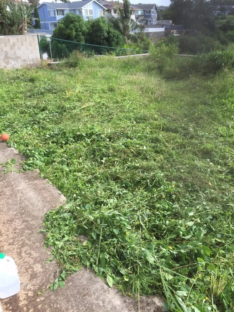 Reliable yard cleanup service for year-round maintenance in Kapolei, HI by Estrada Landscape Services