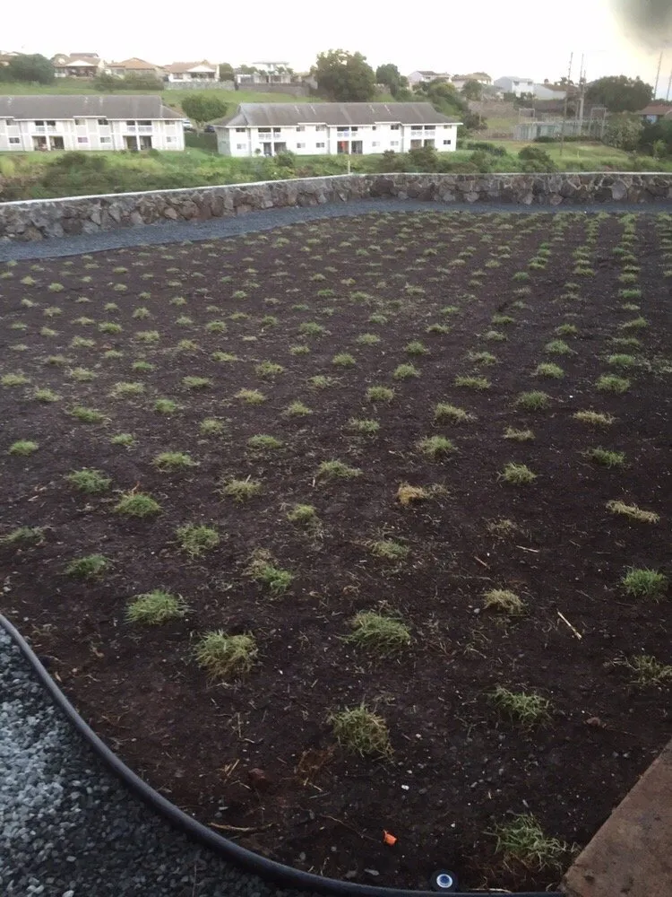 Top-rated yard maintenance for outdoor upgrades in Kapolei, HI by Estrada Landscape Services