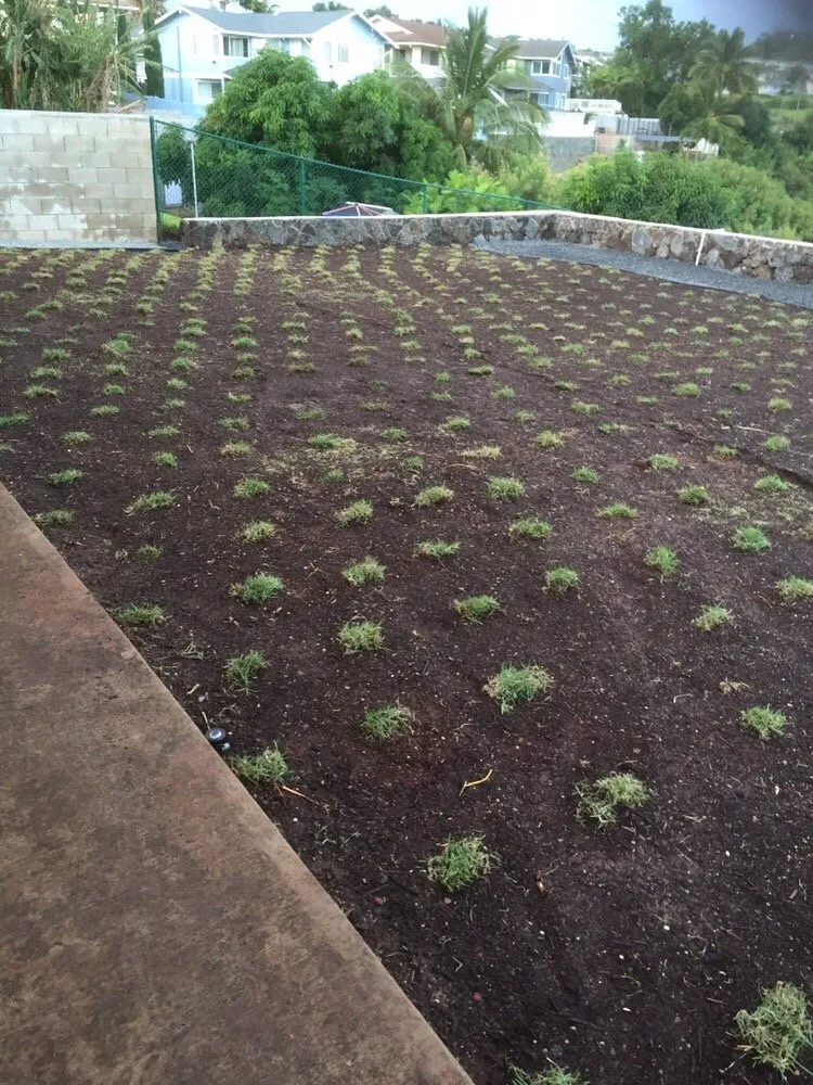 Professional yard maintenance experts serving Kapolei, HI - Estrada Landscape Services