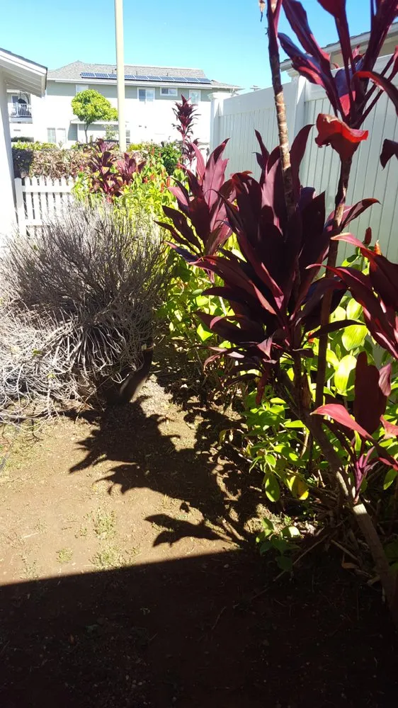 Top-rated yard maintenance experts serving Kapolei, HI - Estrada Landscape Services