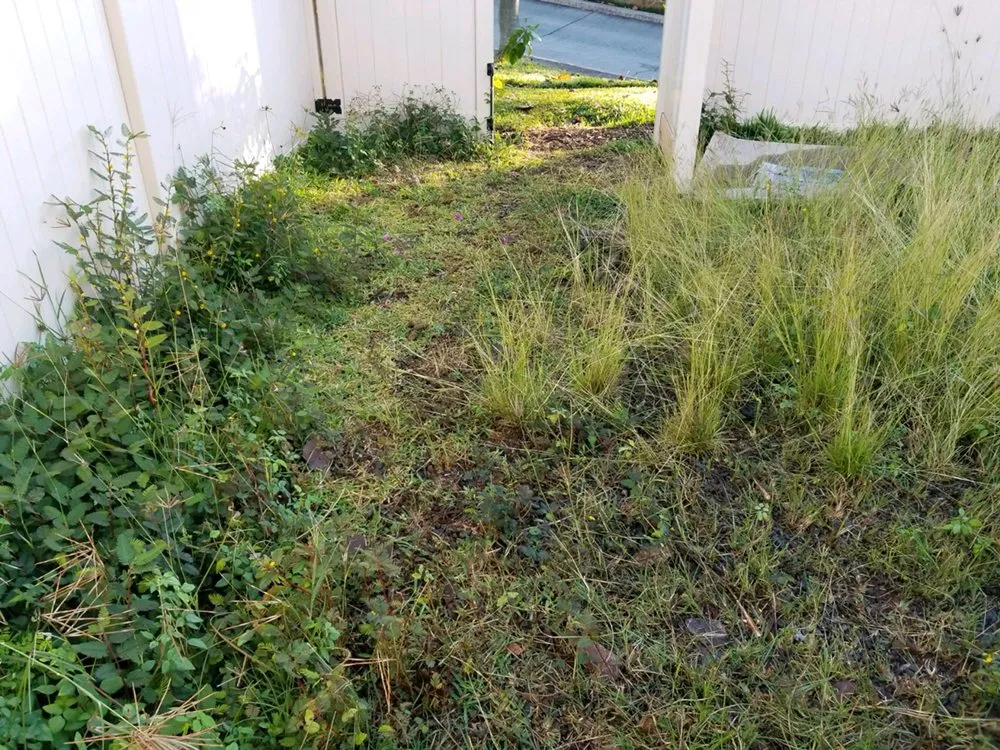 Reliable garden landscaping experts serving Kapolei, HI - Estrada Landscape Services