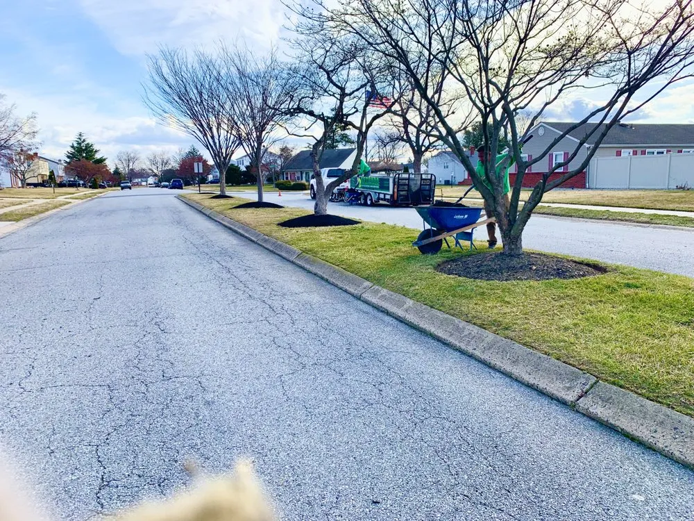 Professional lawn mowing service for year-round maintenance in New Castle, DE by Estrada Landscaping & Services