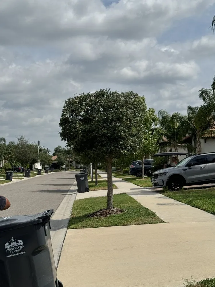 Local landscape installation for homes in Lithia, FL by Estrada Landscaping